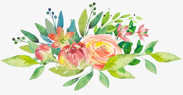 水彩植物叶子免抠