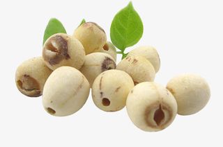 白色新鲜莲子免抠