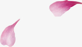 中国风花瓣水墨手绘免抠