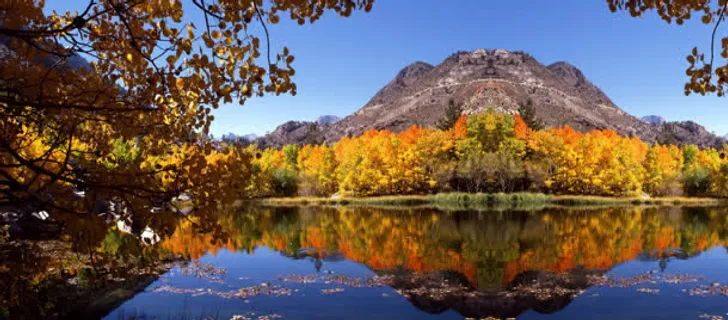 风景湖中倒影背景banner