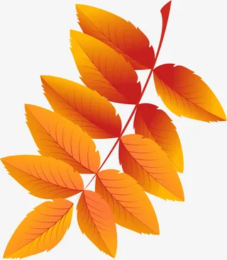 卡通秋季枯叶免抠
