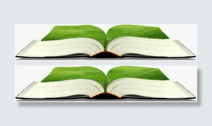 春天绿色草地书籍免抠