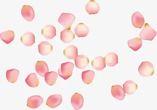 漂浮撒花免抠漂浮花瓣元素