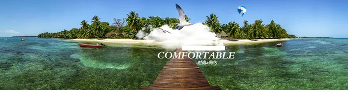 海岛海鸥背景图高清