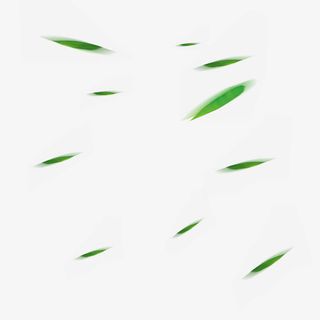 叶子免抠漂浮叶子元素