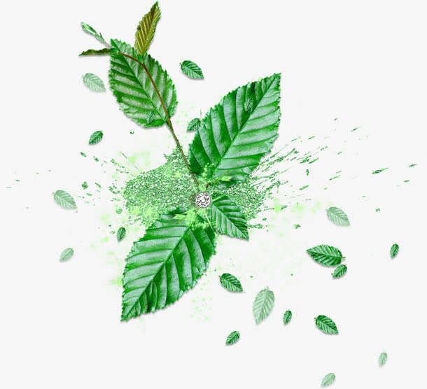 薄荷叶免抠