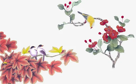 中国风花鸟素材免抠