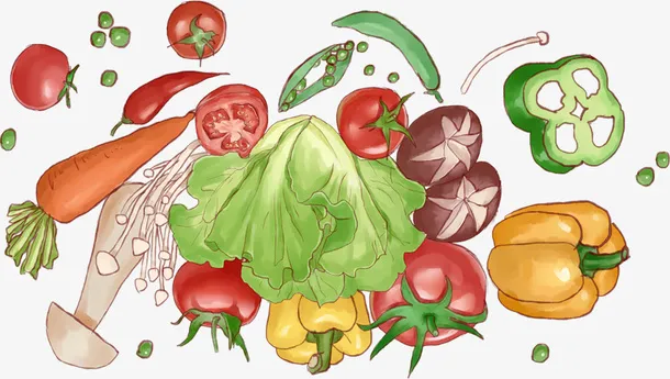 有机蔬菜手绘蔬菜绿色免抠
