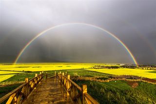 油菜花,种植园，田野,田园,田野风光高清