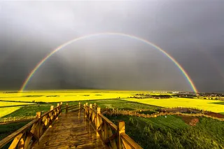 油菜花,种植园，田野,田园,田野风光高清