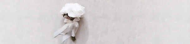 花瓣banner创意设计