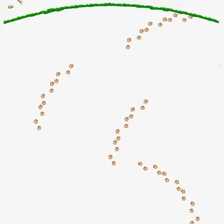 绿色 春天 小清新 脚印 小猫脚印免抠