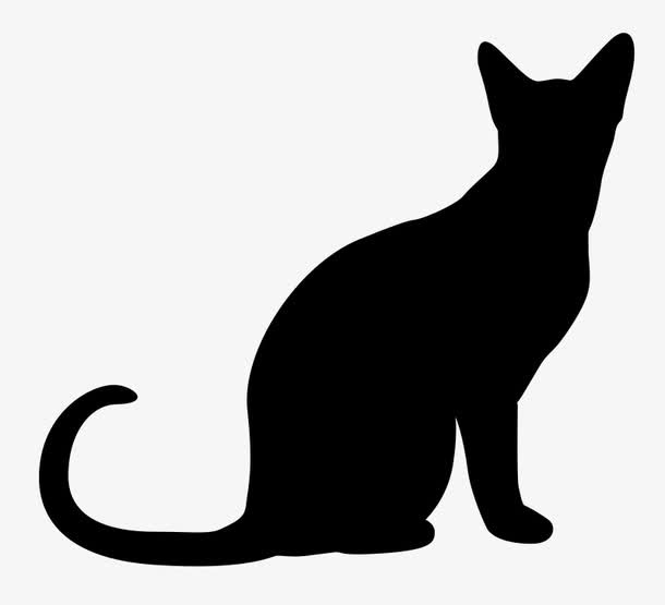 猫咪免抠