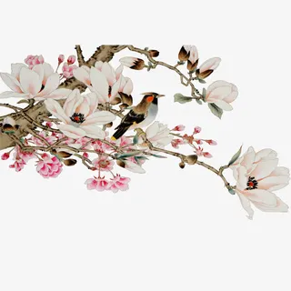 手绘花鸟免扣素材免抠