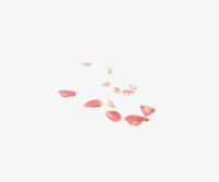粉色花瓣透明装修免抠
