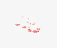 粉色花瓣透明装修免抠