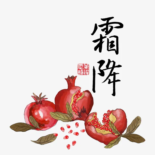中国风霜降石榴插画免抠