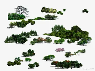 树丛集合免抠