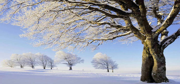 冬季雪景图高清