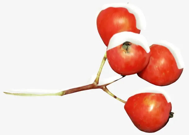 冬季树枝免抠