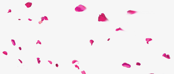 花瓣免抠