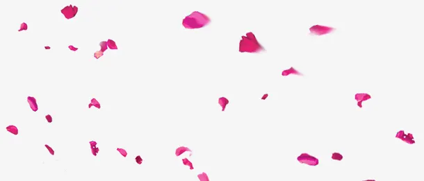 花瓣免抠