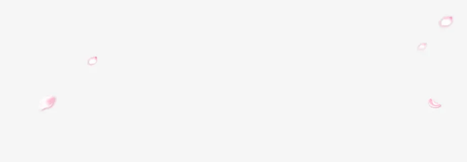 飞舞的花瓣免抠