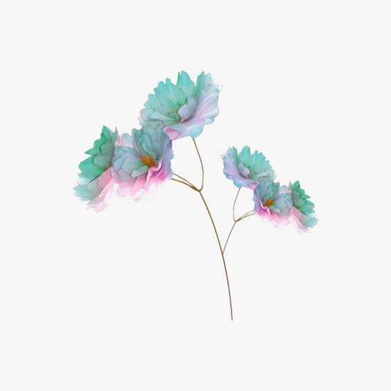 绿色花朵装饰免抠