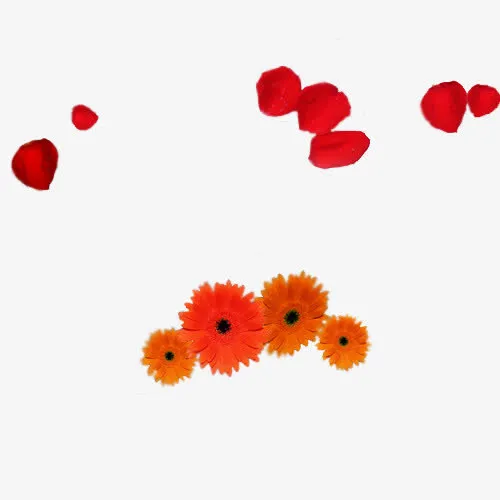花瓣漂浮免抠