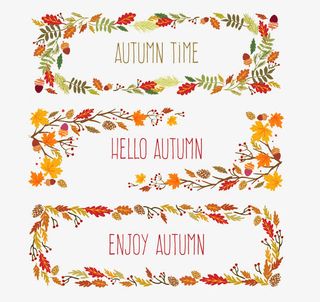 植物装饰图案免抠