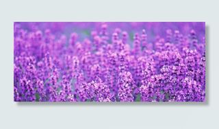 淘宝海报背景高清