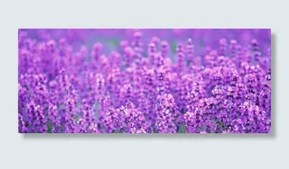 淘宝海报背景高清