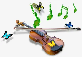 装饰小提琴免抠素材免抠