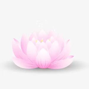 矢量手绘荷花免抠