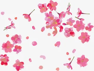 春暖花开飘落的花免抠