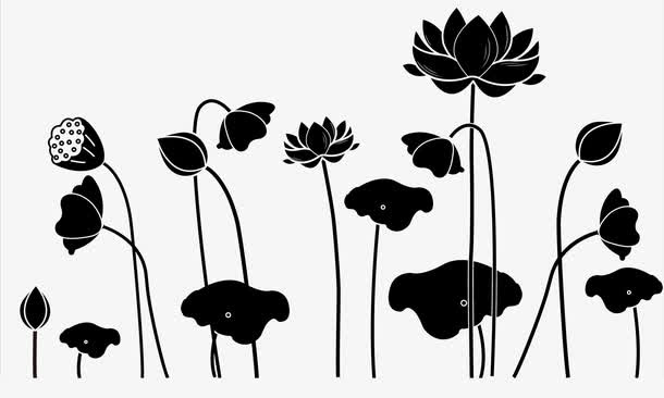 黑色水莲花免抠