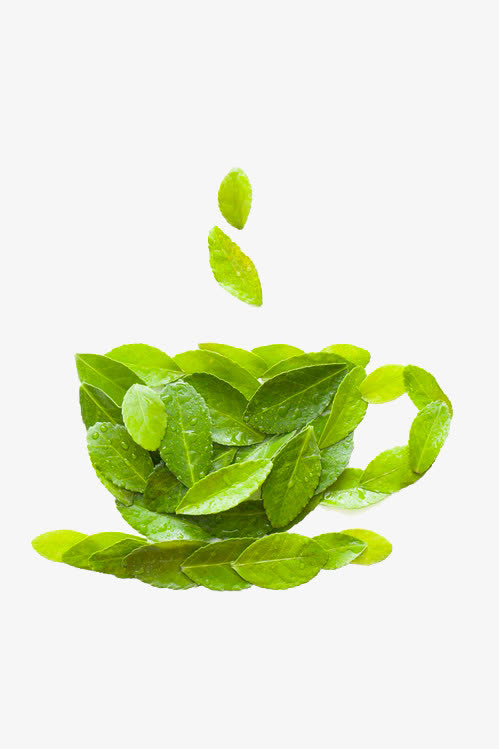 茶叶免抠