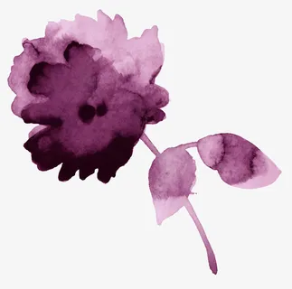 玫瑰花月季花牡丹花粉色花卉墨迹免抠