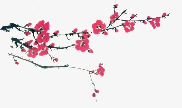 梅花免抠