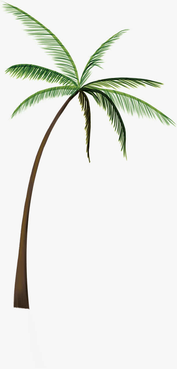 春天海边椰林植物免抠