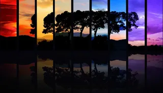 不同背景下的树背景素材高清