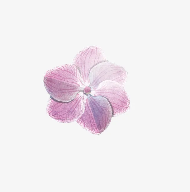 紫色花瓣免抠