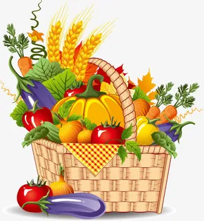 丰盛的菜篮子图片免抠