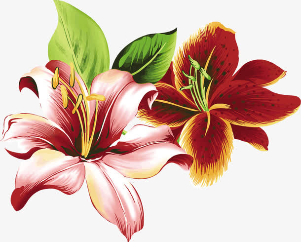 油画风格盛开的花朵免抠