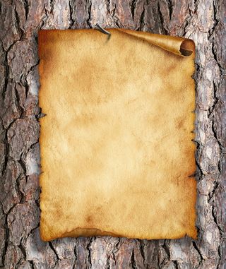 木纹羊皮纸背景素材高清