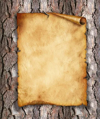 木纹羊皮纸背景素材高清