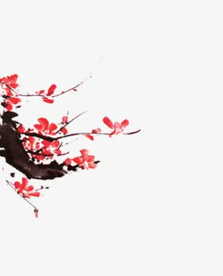 折断的梅花枝免抠