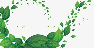 春天清新树叶免抠