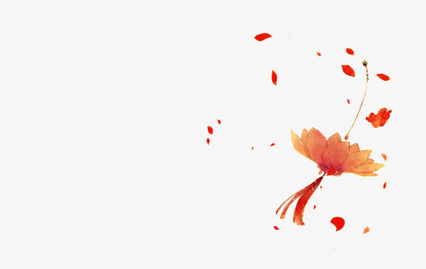 古典灯笼花免抠