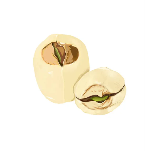 莲子手绘免抠